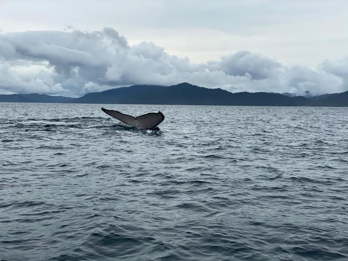Posada Turistica Rocas De Cabo Marzo Bahia Solano Bagian luar foto