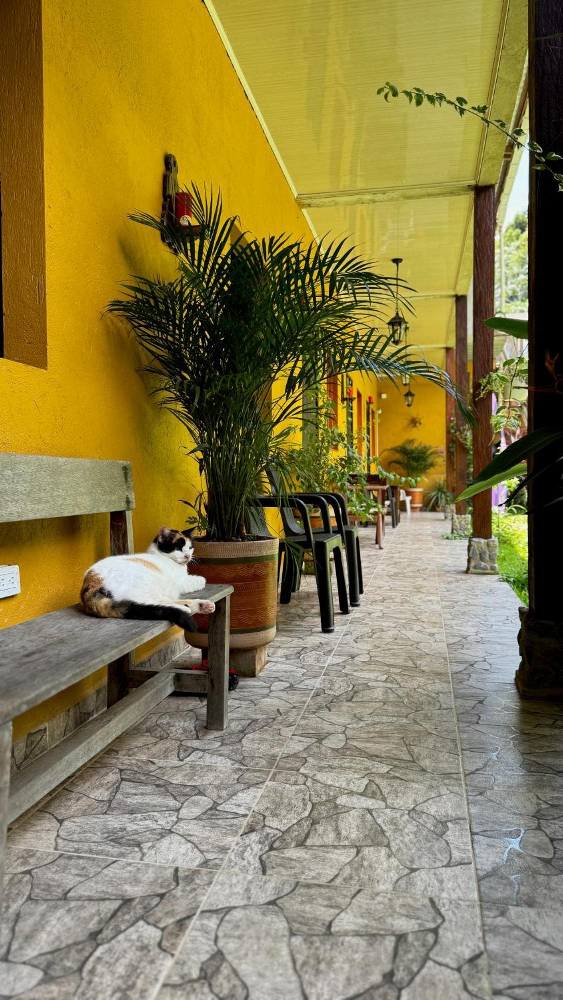 Posada Turistica Rocas De Cabo Marzo Bahia Solano Bagian luar foto